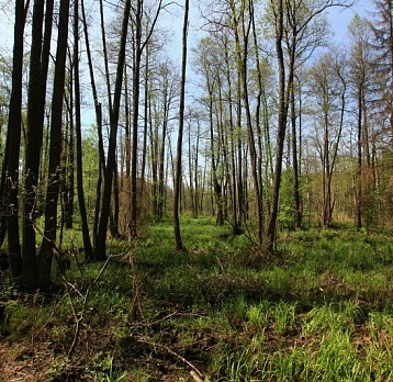 На службе у природы